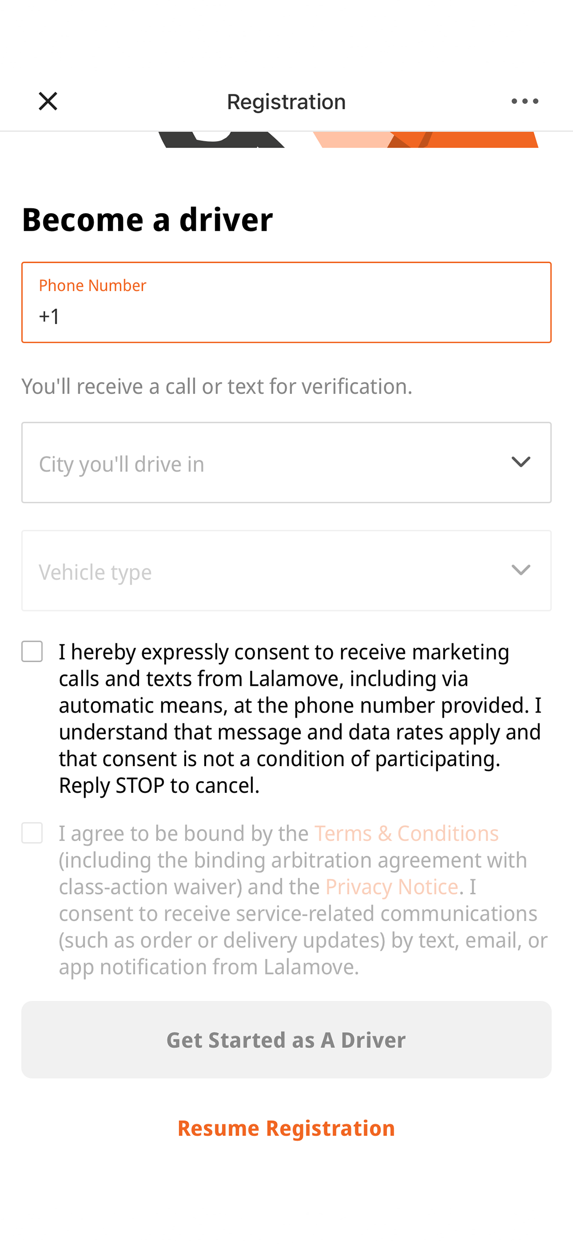 Driver Registration 3